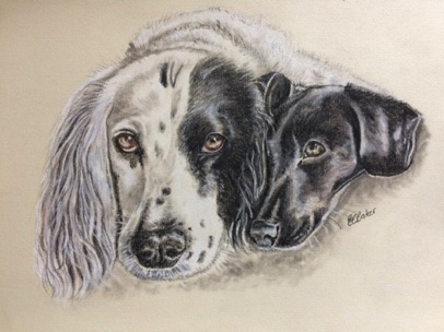 Millie and Willow
